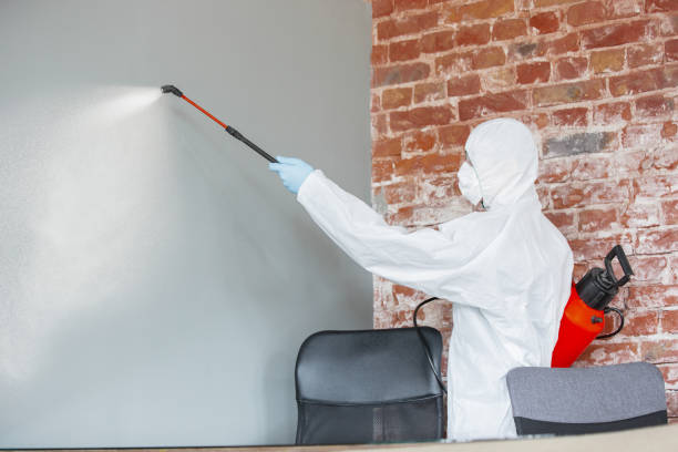 Best Real Estate Mold Inspection  in Berea, OH