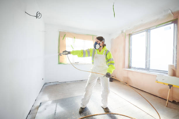 Trusted Berea, OH Mold Removal Experts