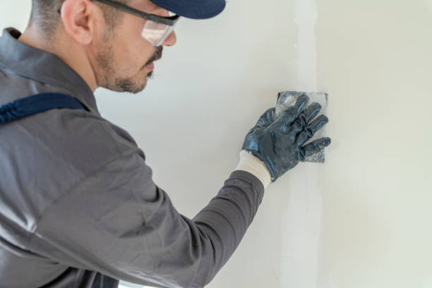Best Mold-Related Health Consultation  in Berea, OH