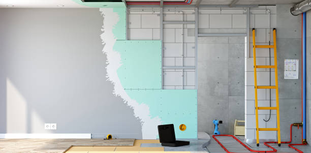 Best Basement Mold Removal  in Berea, OH