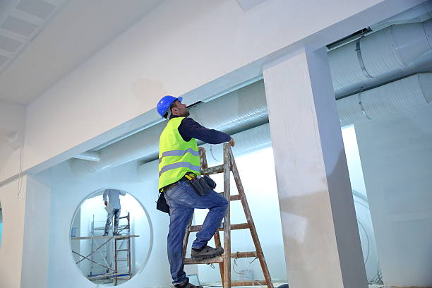 Best Mold Damage Restoration  in Berea, OH